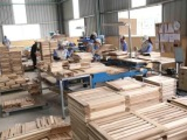 Xuất khẩu gỗ tăng nhẹ hai tháng liên tiếp, doanh nghiệp đã nhận đơn hàng cho cuối năm
